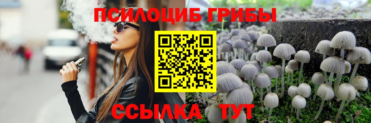 Галлюциногенные грибы Psilocybe Лесосибирск